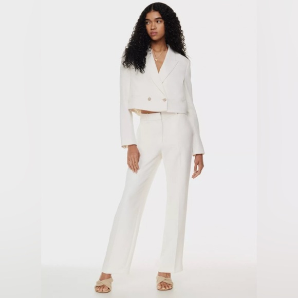 Aritzia Pants - Aritzia Wilfred Author Pant